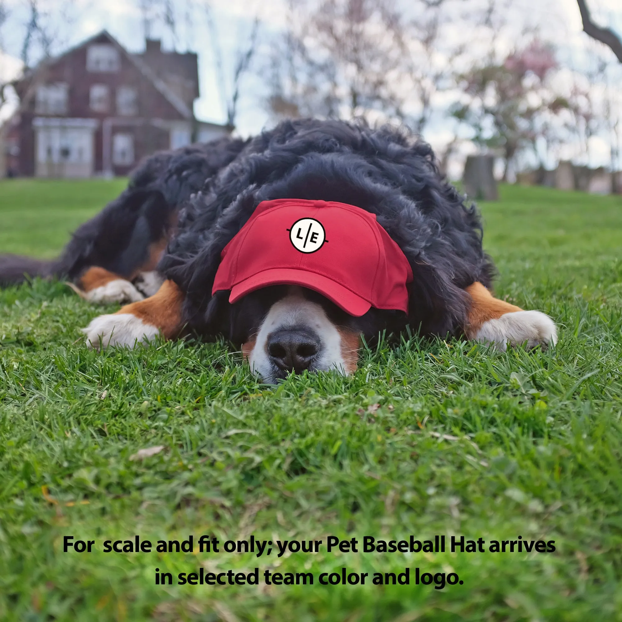 University of Arkansas Pet Baseball Hat