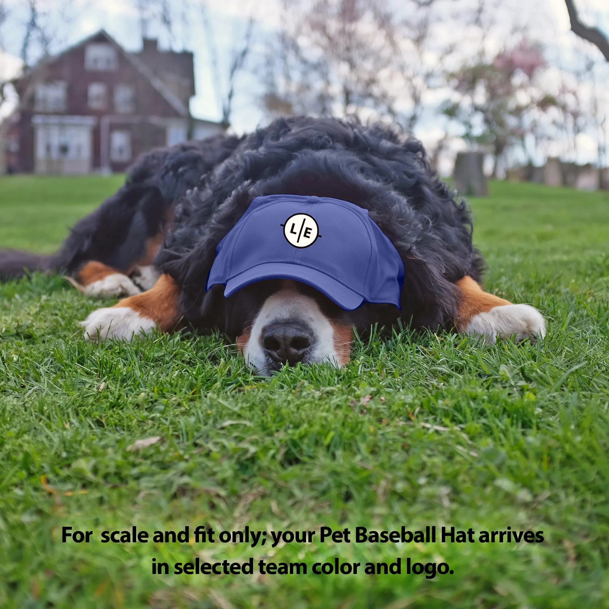 Vancouver Canucks Pet Baseball Hat