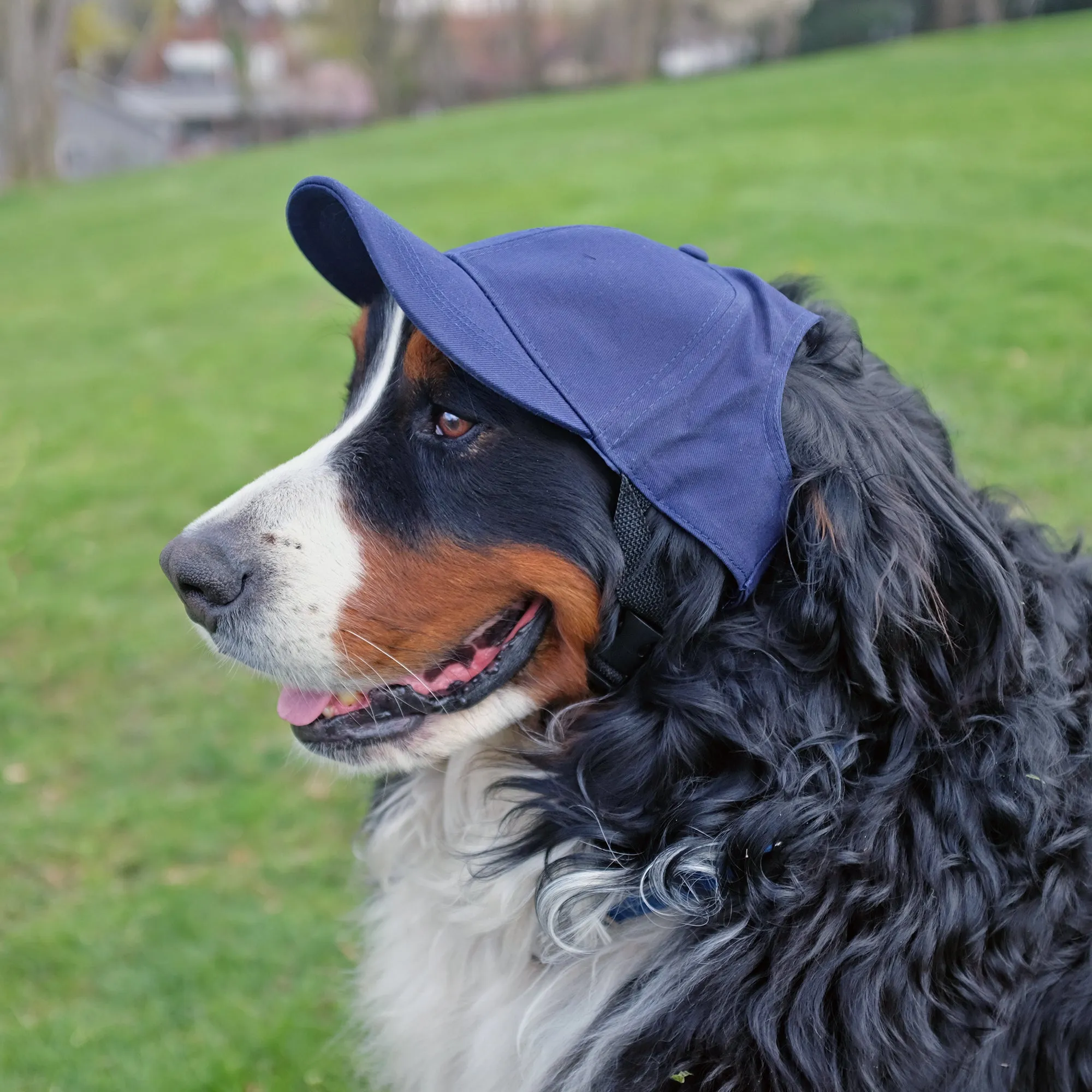 Vancouver Canucks Pet Baseball Hat