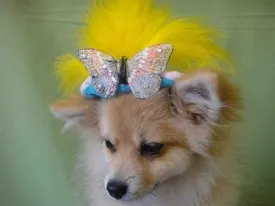 Yellow Feather Butterfly Teal Hat - Cat or Dog